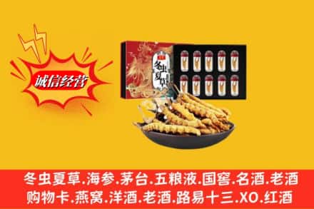 平顶山市汝州回收冬虫夏草