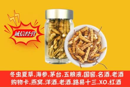 平顶山市汝州回收散虫草
