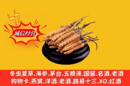 平顶山市汝州名酒回收冬虫夏草.jpg